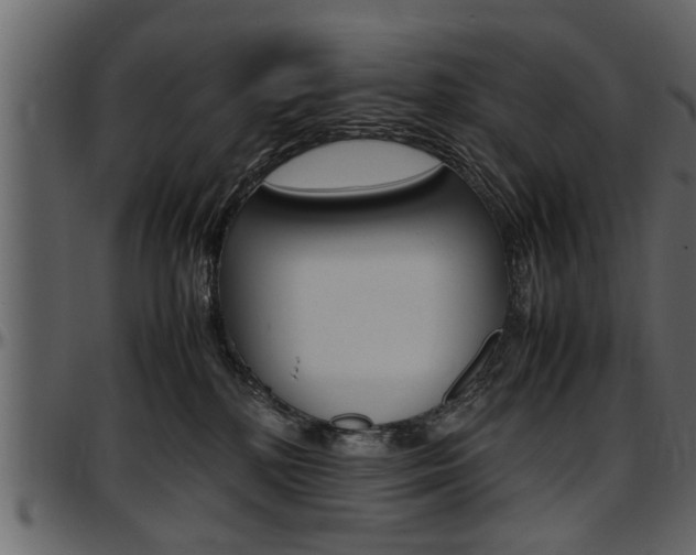 X0000097600232200802290739