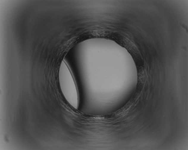 X0000097600233200802290739