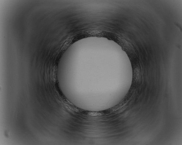 X0000097600234200802290739