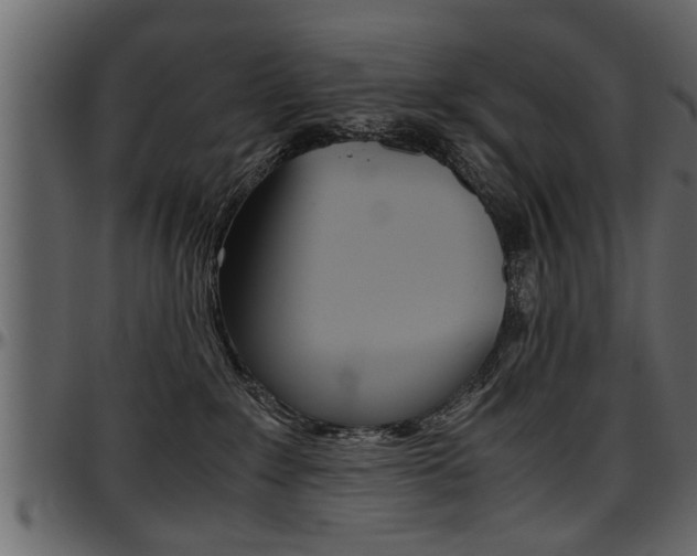 X0000097600235200802290739