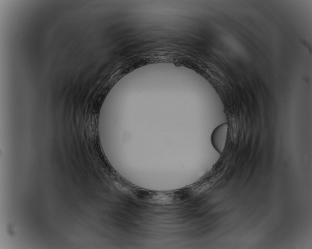 X0000097600236200802290739