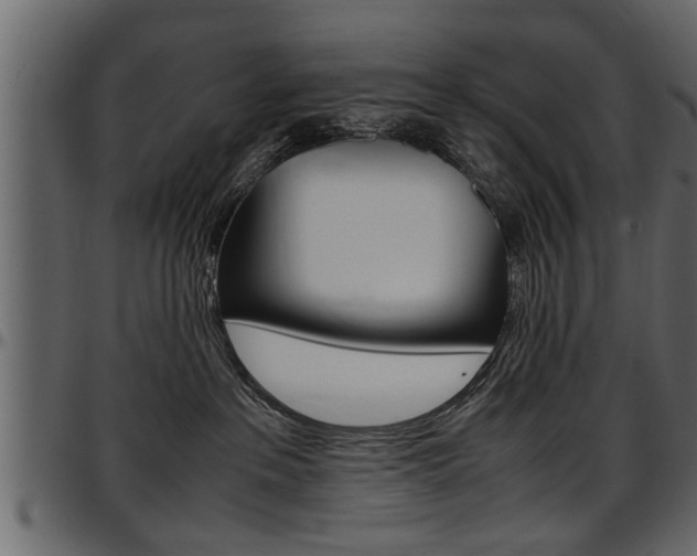 X0000097600237200802290739