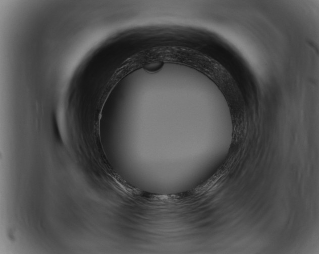 X0000097600239200802290739
