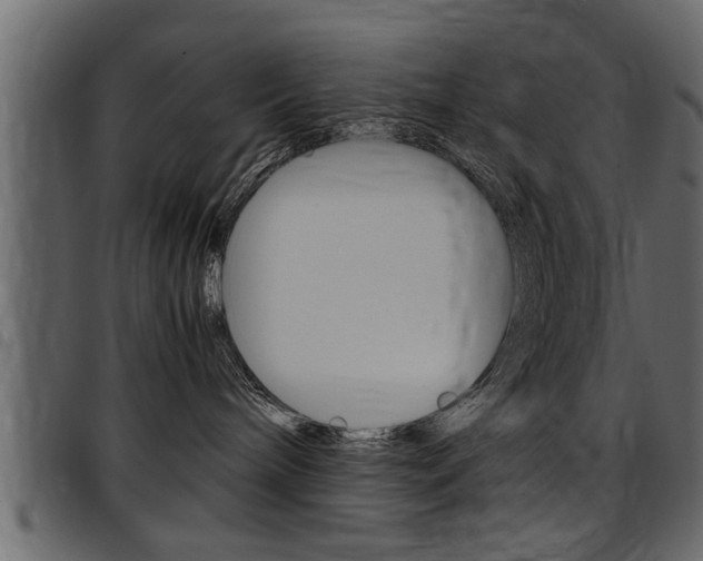 X0000097600240200802290739