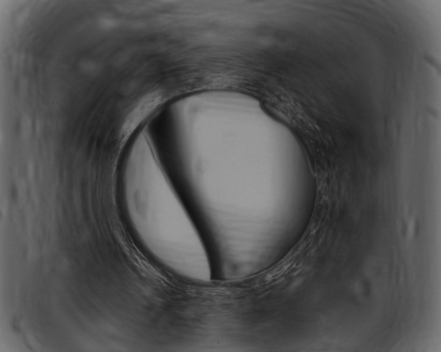 X0000097600242200802290739