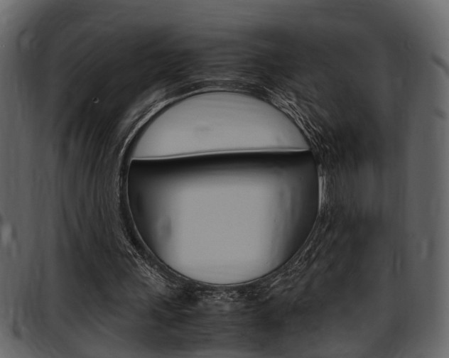 X0000097600243200802290739