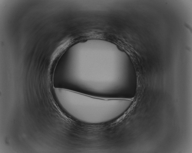 X0000097600245200802290739