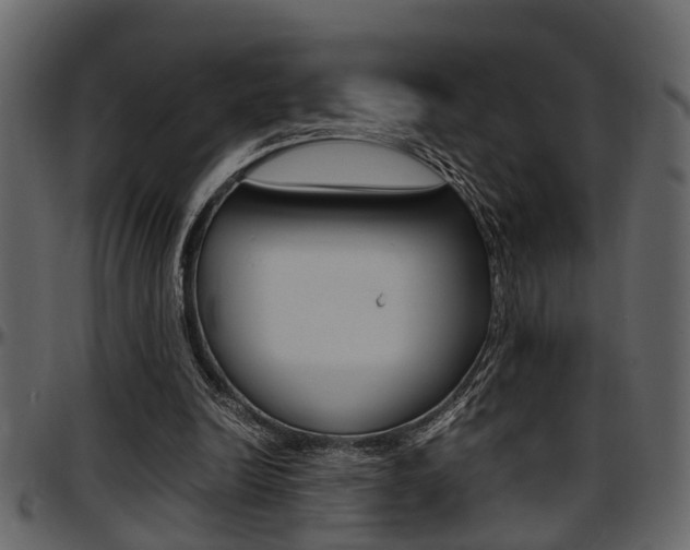 X0000097600246200802290739