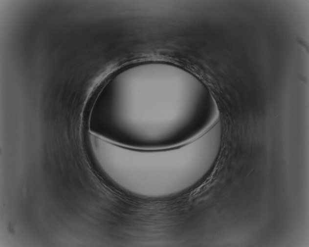 X0000097600248200802290739