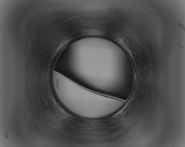 X0000097600249200802290739