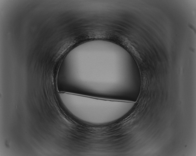 X0000097600251200802290739