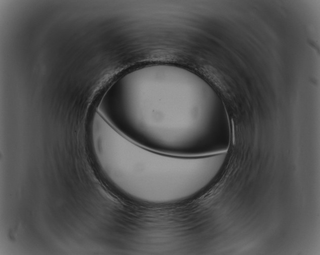 X0000097600252200802290739