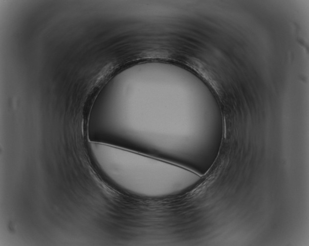 X0000097600253200802290739