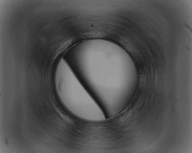 X0000097600254200802290739