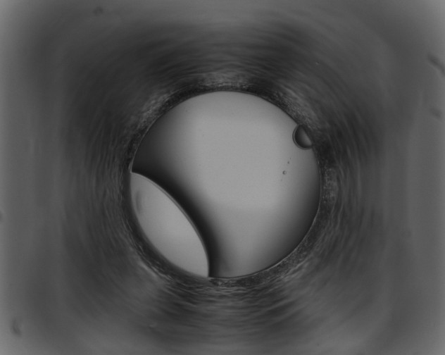 X0000097600255200802290739