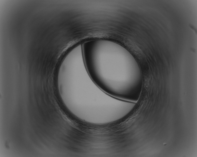 X0000097600256200802290739