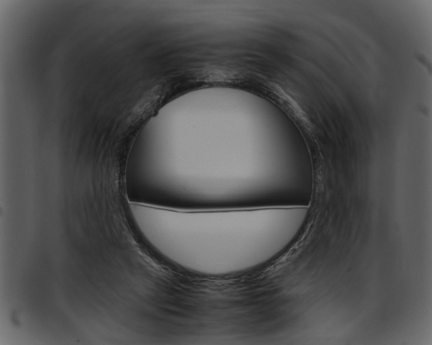 X0000097600257200802290739