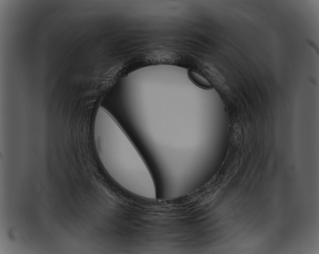 X0000097600259200802290739