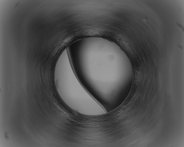 X0000097600260200802290739