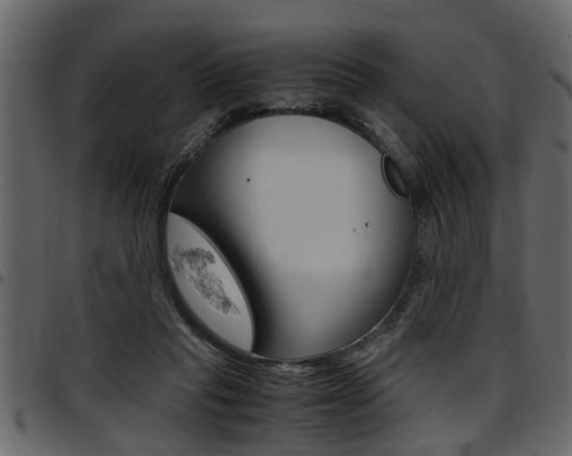X0000097600261200802290739