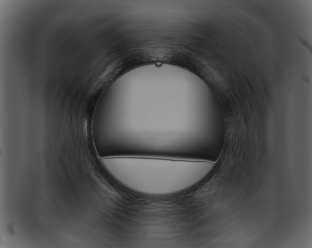X0000097600262200802290739