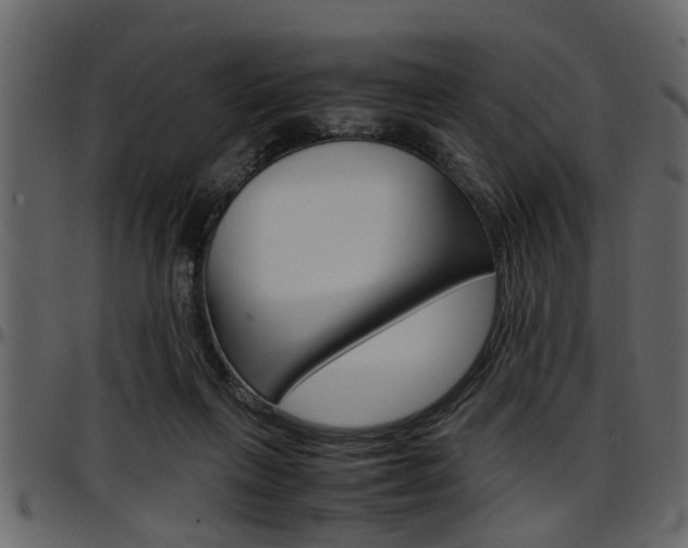 X0000097600263200802290739