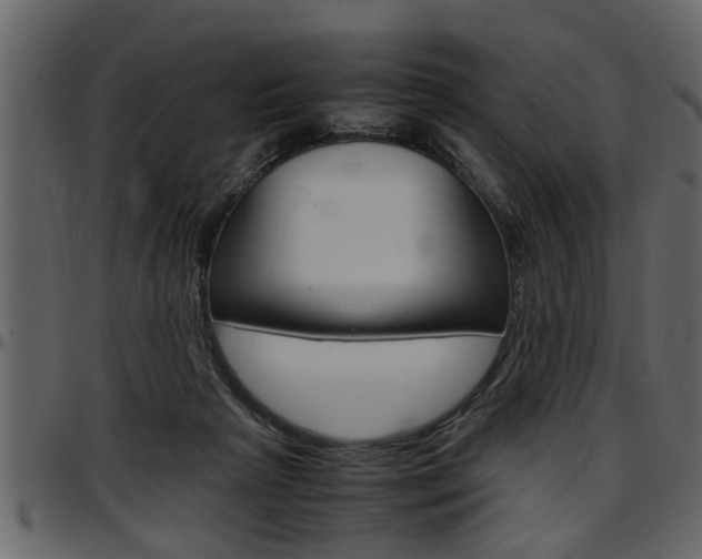 X0000097600265200802290739