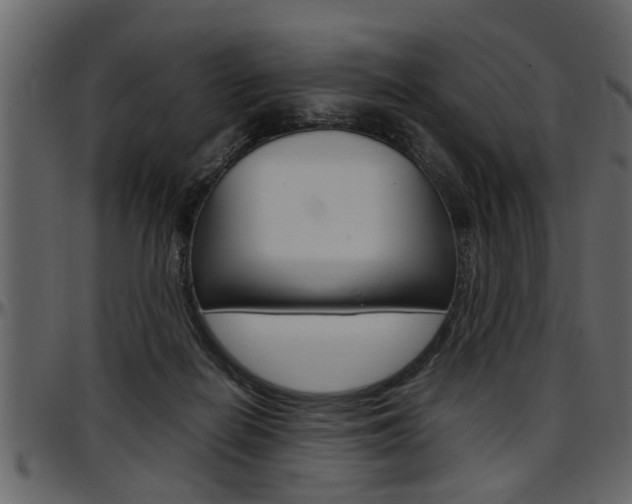 X0000097600266200802290739