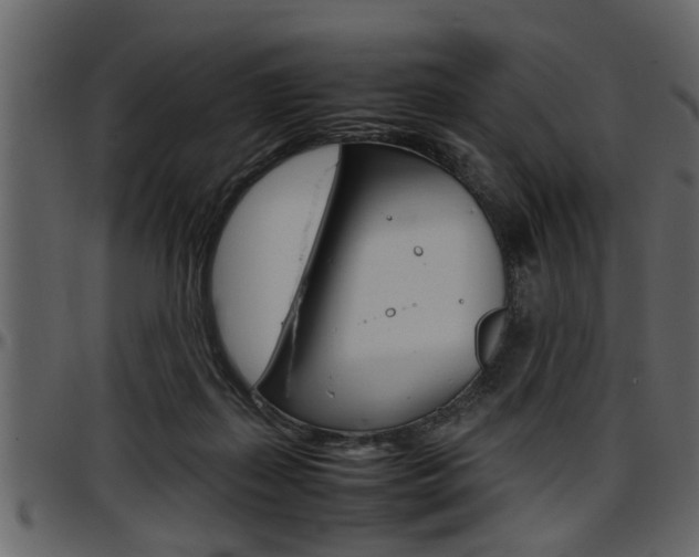 X0000097600267200802290739