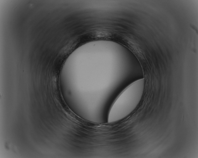 X0000097600269200802290739