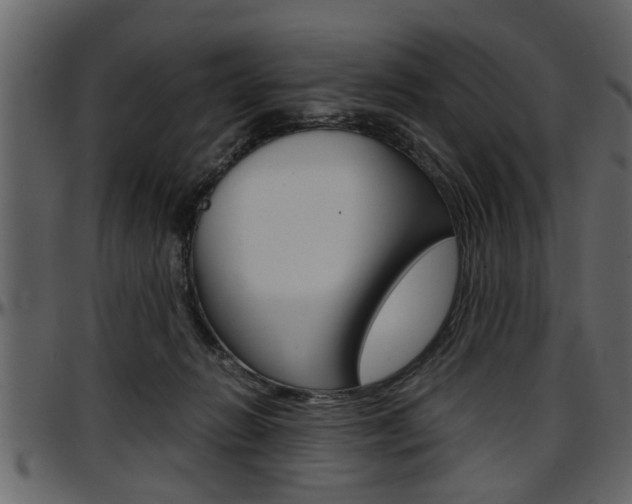 X0000097600270200802290739