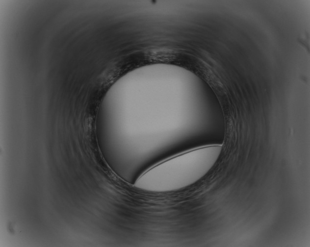 X0000097600271200802290739