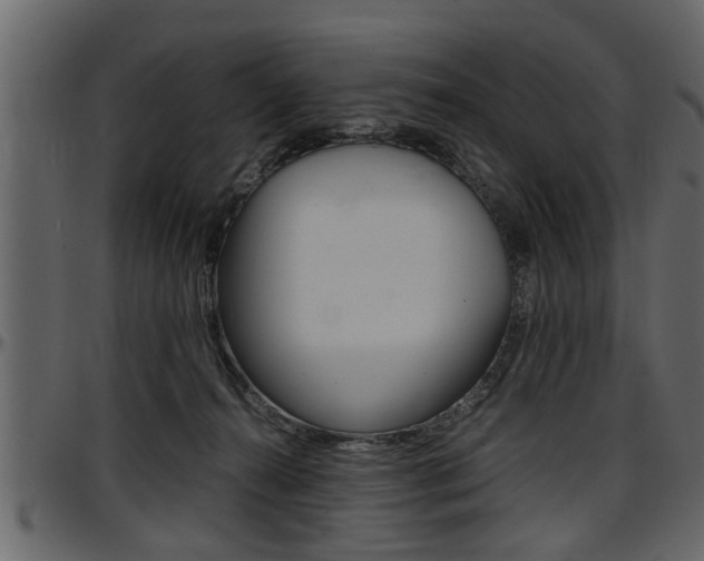 X0000097600272200802290739
