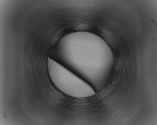 X0000097600273200802290739