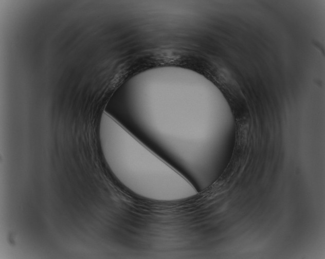 X0000097600274200802290739