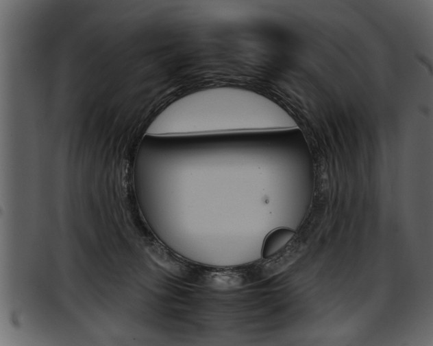 X0000097600275200802290739