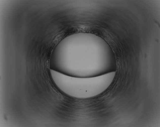 X0000097600276200802290739