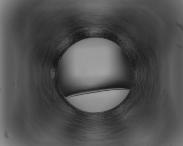 X0000097600278200802290739