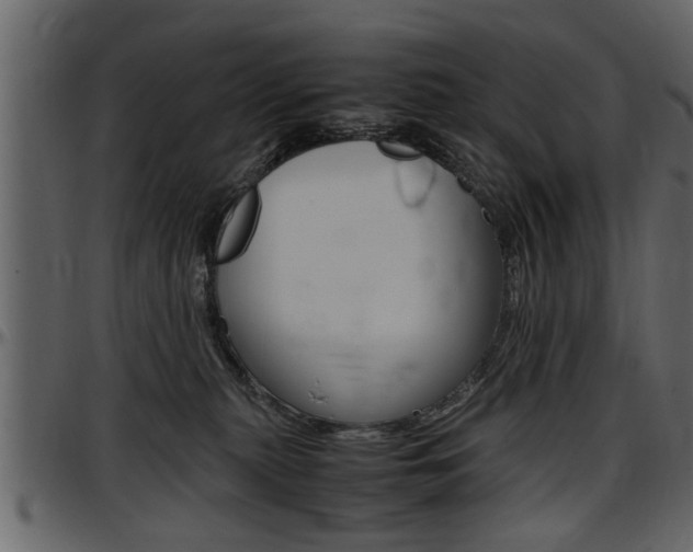 X0000097600279200802290739