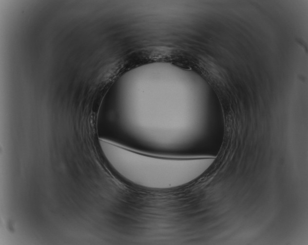 X0000097600280200802290739