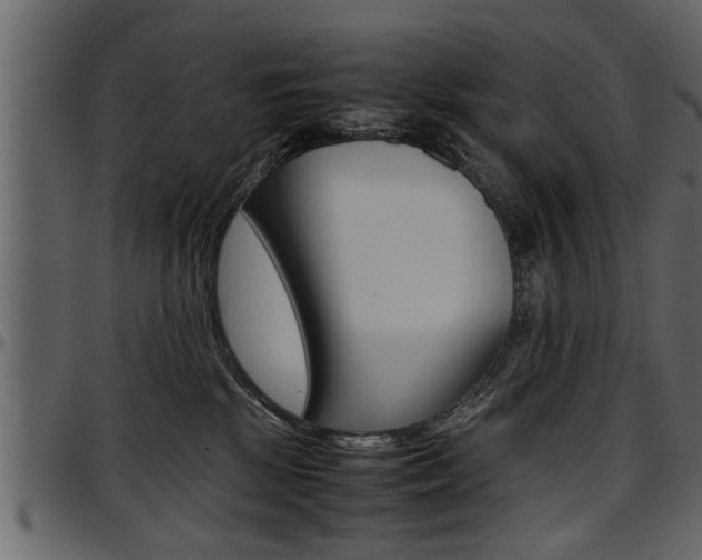 X0000097600281200802290739