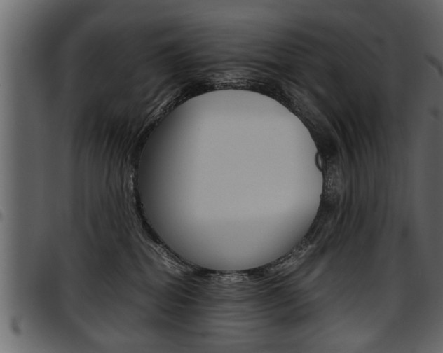 X0000097600282200802290739