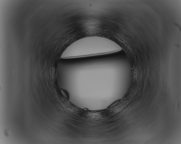 X0000097600283200802290739