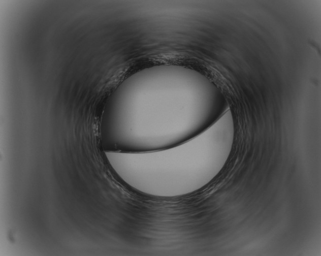 X0000097600284200802290739