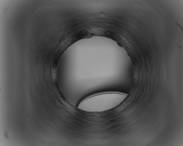X0000097600285200802290739