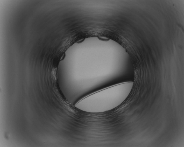 X0000097600286200802290739