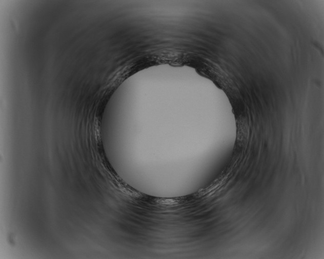 X0000097600287200802290739