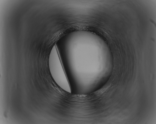 X0000097600288200802290739