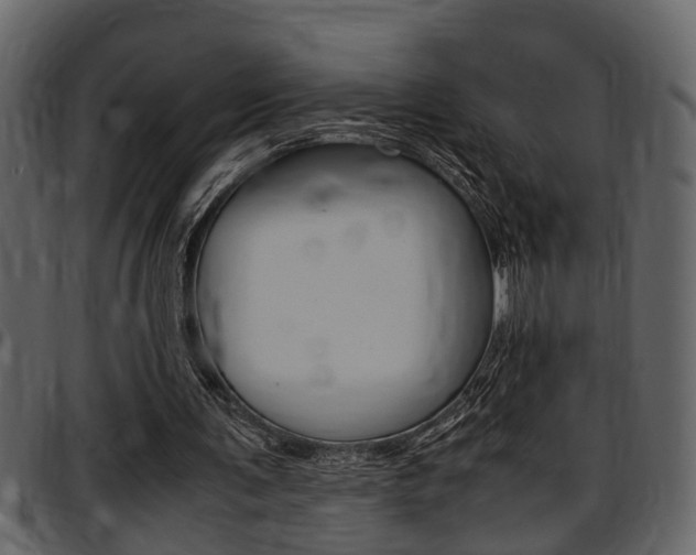 X0000097600291200802290739