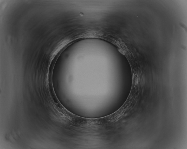 X0000097600292200802290739